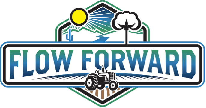 Flow Forward Logo