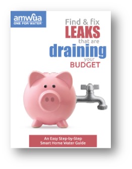 Find & fix Leaks that are draining your budget